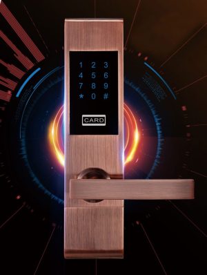 Khóa mật mã kết hợp khóa thẻ từ và chìa cơ Newera NE8888KP55RB
