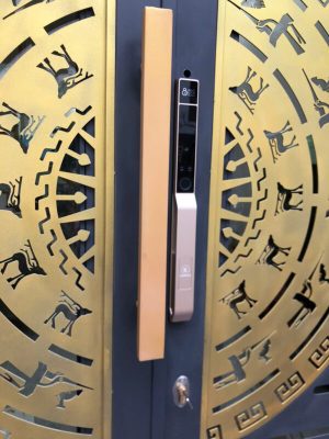 khoa van tay kassler kl 599 pro champagne gold 1 - Khóa vân tay cửa nhôm Kassler KL-599 PRO CHAMPAGNE GOLD APP tiêu chuẩn Đức