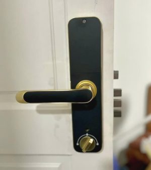 khoa van tay kassler kl 668 gold app5 - Khóa vân tay Kassler KL-668 GOLD APP tiêu chuẩn Đức