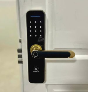 khoa van tay kassler kl 668 gold6 - Khóa vân tay Kassler KL-668 GOLD APP, Remote tiêu chuẩn Đức