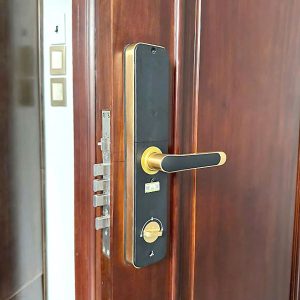 khoa van tay kassler kl 696 gold 4 - Khóa vân tay Kassler KL-696 GOLD APP, Remote tiêu chuẩn Đức