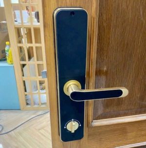 khoa van tay kassler kl 696 gold app 1 - Khóa vân tay Kassler KL-696 GOLD APP tiêu chuẩn Đức