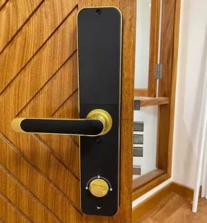 khoa van tay kassler kl 696 gold app5 - Khóa vân tay Kassler KL-696 GOLD APP tiêu chuẩn Đức
