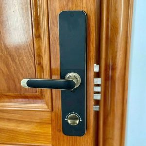 khoa van tay kassler kl 696 green bronze app 1 - Khóa vân tay Kassler KL-696 GREEN BRONZE APP tiêu chuẩn Đức