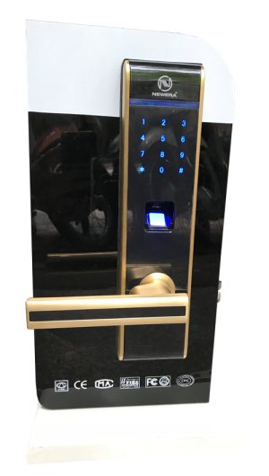 Khóa vân tay kết hợp khóa mật mã NewEra NE6666FP66PG