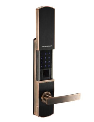 Khóa vân tay kết hợp mật mã chìa cơ Newera NE8888FP52BG