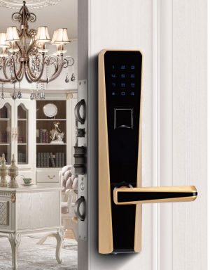 Khóa vân tay kết hợp khóa mật mã chìa cơ Newera NE8888FP60BG