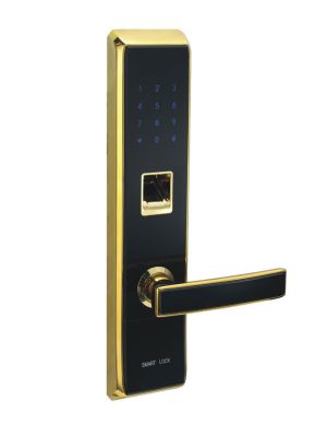 Khóa vân tay kết hợp mật mã chìa cơ Newera NE8888FP62BG