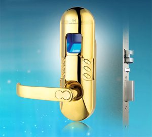 Khóa vân tay kết hợp mật mã chìa cơ Newera NE6666FP88PG