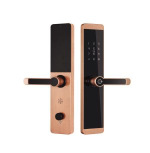 Khóa vân tay Kassler KL-600 APP mobi- màu đồng