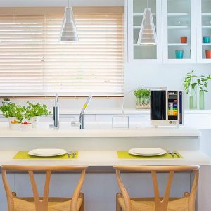 leveluk sd501 1 - Máy lọc nước Kangen Leveluk SD501
