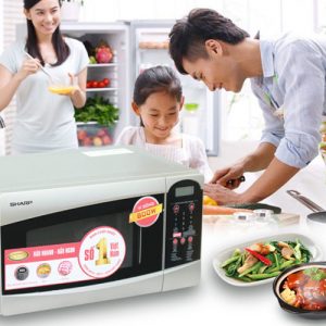 lo vi song sharp r 25d1svn 1613307995 2 - Lò vi sóng Sharp R-25D1(S)VN