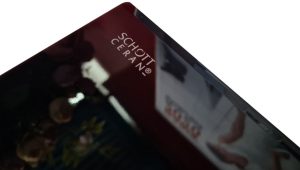 Bếp điện từ Faster FS MIX266