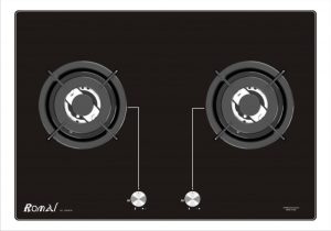 Bếp ga âm RG-204 SG NEW