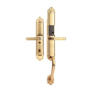 Khóa vân tay đại sảnh Demax SL821 Gold