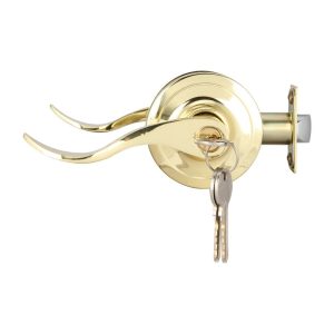 tay nam gat hafele 489 10 - Khoá tay nắm gạt cửa phòng Häfele 489.10.195