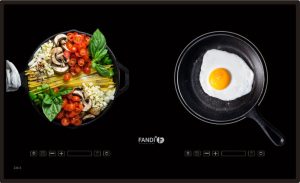 Bếp từ Fandi FD-226I