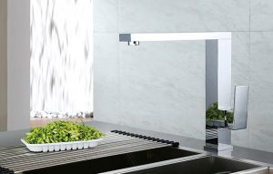 Vòi rửa Roslerer RL-908