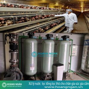 Hệ thống lọc tổng lọc thô cho chăn gia súc gia cầm