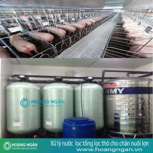 Hệ thống lọc tổng lọc thô cho chăn nuôi lợn