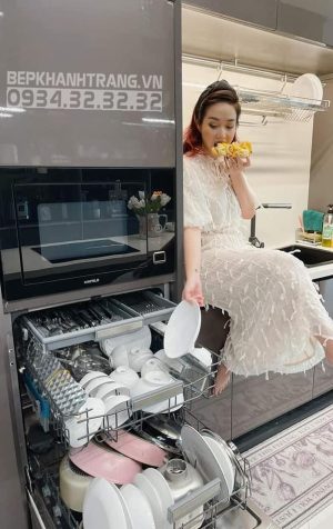 z3085389777809 5361a163a7c19ac1efd181862364ad0d - MÁY RỬA CHÉN ÂM BÁN PHẦN HAFELE HDW-HI45A, 10 BỘ ĐỒ ĂN, 45CM HAFELE 533.23.275