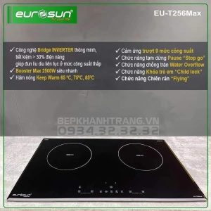 z3264056140392 be4e3f2cbe8bb6a99f07985e4fbbcf5f - Bếp điện từ Eurosun EU-TE259Max