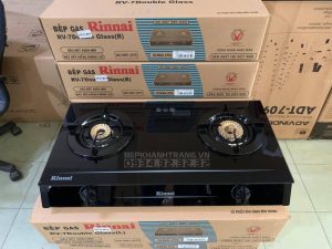 z3295451148084 a8f020414a406583a71cb3411ebcff20 - Bếp gas 6 tấc Rinnai RV-6 DOUBLE GLASS (L), Chén đồng có đầu hâm