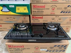 z3295457418084 1dbd68104c7b2e420c5b8f355853fc6b - Bếp gas âm Rinnai RVB-2BG(F)N, chén đồng ngắt gas tự động