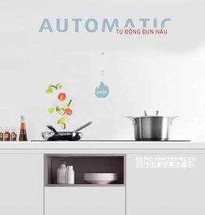 z3351093134955 6f5f0610c0bf5eecaf3718c89548c6e5 1 - Bếp từ Chefs EH-DIH888