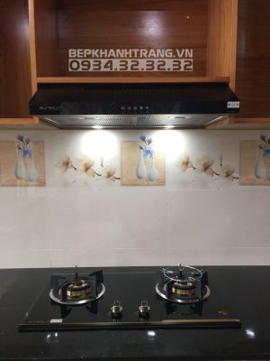 z3353897814758 6a89ce68396f710805fc8014e521fbb6 1 - Máy Hút Mùi Eurosun EH-70CF19S