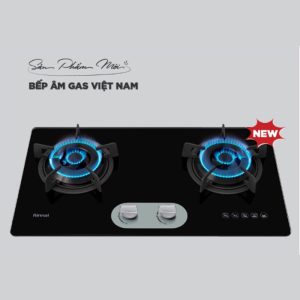 Bếp ga âm Rinnai RVB-220G(BG)/220G(B)