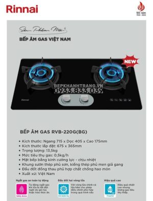 z3384889448646 88951f6f2f40a329ae5a87a143ef4573 - Bếp ga âm Rinnai RVB-220G(BG)/220G(B)