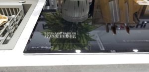 z3391007687737 3236f2283c9132787ffddca8e3c0a08e - Bếp từ Eurosun EU-T905G