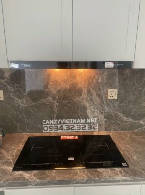 z3398476304777 62b2924d9789ab67ae47d2a4956172d4 1 - Bếp Từ Canzy CZ 52I