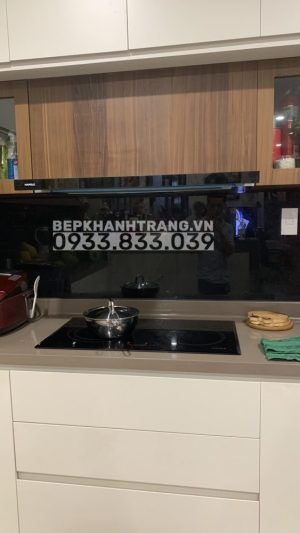 z3405013696262 1b8c2a9d470cd9166dfa6dc11306c6dc scaled 1 - COMBO MÁY HÚT MÙI ÂM TỦ MẶT KÍNH ĐEN VÀ BẾP TỪ 3 VÙNG NẤU HAFELE 536.01.609