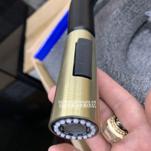 z3413246757761 d391ee5d7d39032c777e0ad94587f026 scaled 1 - Vòi rửa Eurogold EUF221DR