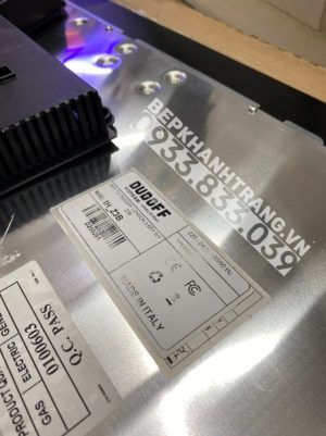 z3422931533826 109b9c6210a61de81e0b5406476270b3 - Bếp Từ DUDOFF IVY Z2B