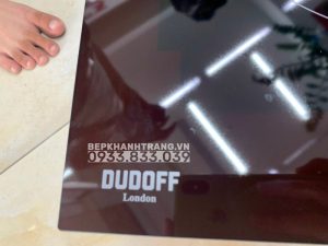 z3423204149803 1de30e760ac0a1f10a155920e007491d - Bếp Từ DUDOFF IVY Z2B