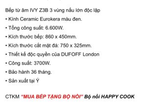 z3423219029665 7b15e89d08c6167a111390dbe2771986 - Bếp Từ DUDOFF IVY Z2B