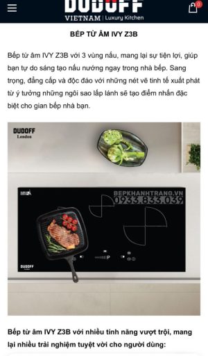 z3423219038649 2d813a6b7df956cc135d6e9109837634 - Bếp Từ DUDOFF IVY Z2B