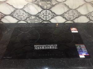 z3433718216220 457d97bdc39c49d8922baf0873262d1f 1 - Bếp điện từ Eurosun EU-TE259Max