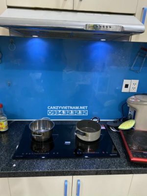 z3446533132122 d18e9698a72e81c168ae2f7b9f50406c - Bếp Từ Canzy CZ TL869D