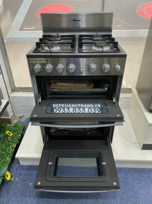 z3526033760643 e681314be61334e6187a096efadfd0fa 1 - BẾP GA THÙNG RINNAI RSF-BM23 SP678