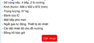 z3526051478809 dcd43cb83879c52724a115555f3741ad - BẾP GA THÙNG RINNAI RSF-BM23 SP678