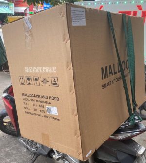 z3536108758937 68092d7310911991675f7ee5331c0bc0 1 - Máy hút mùi độc lập Malloca MC-9053 ISLA