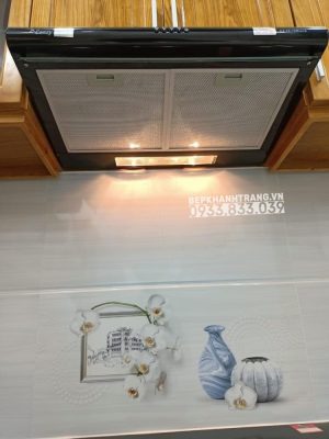 z3553996619549 f557ad54d950738d03da030a4cb324be - Máy hút mùi Canzy CZ-2060B