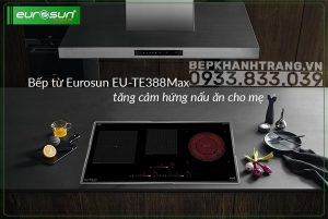 z3554424992939 89fc708ca12f8ce03ae47c217c28ddbe - Bếp điện từ Eurosun EU-TE388Max