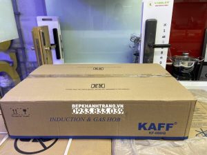 z3555740468934 b01621537f4bf1803fcfc5be2c1d3945 - Bếp gas kết hợp từ KAFF KF-088IG