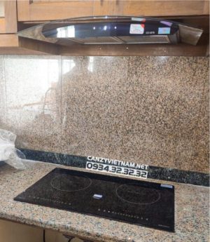 z3556858408816 89a90e247f90186308e9da319069fb7c - Bếp Điện Từ Canzy CZ TL869DH