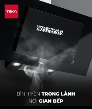 z3622261572017 e8f8ecc4264de2a9704018d2c8170c8d - Máy hút mùi Teka TLR2 92 SS